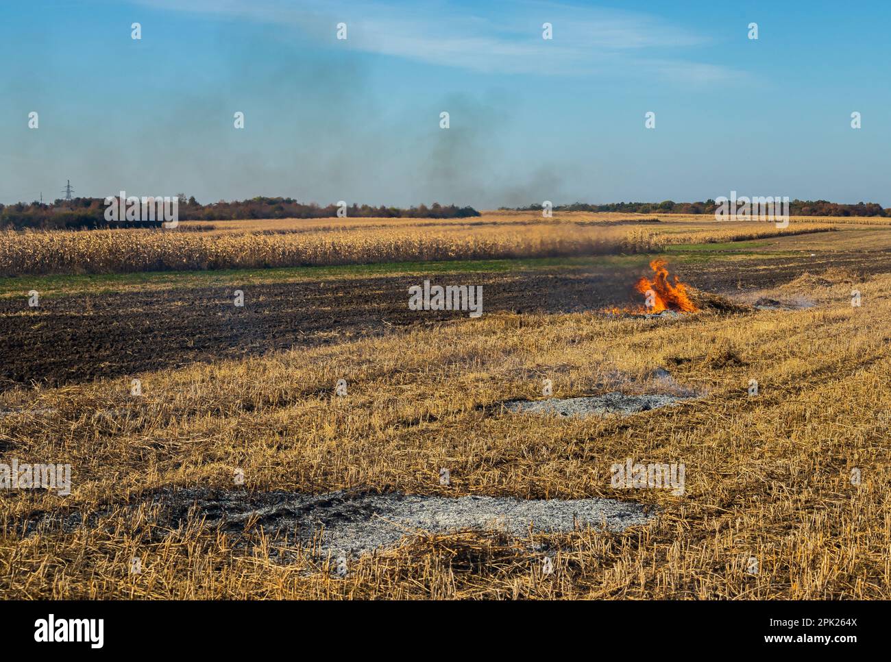 Verbrennung landwirtschaftlicher Abfälle - Smog und Verschmutzung. Schädliche Emissionen aus Heu- und Strohverbrennung auf landwirtschaftlichen Feldern. Stockfoto
