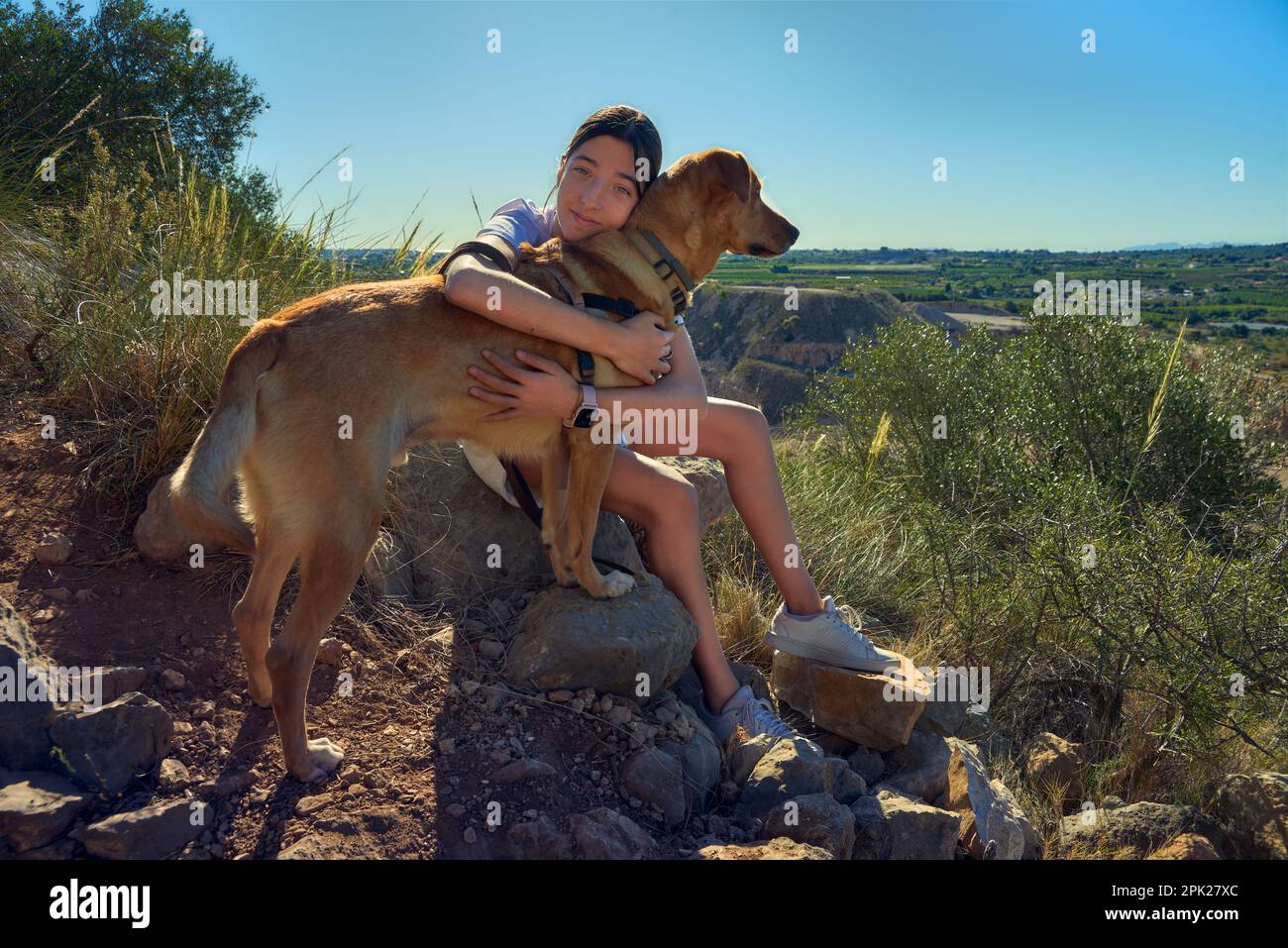 Ein Mädchen umarmt einen Hund nach einer Wanderung um den Berg an einem Sommertag Stockfoto