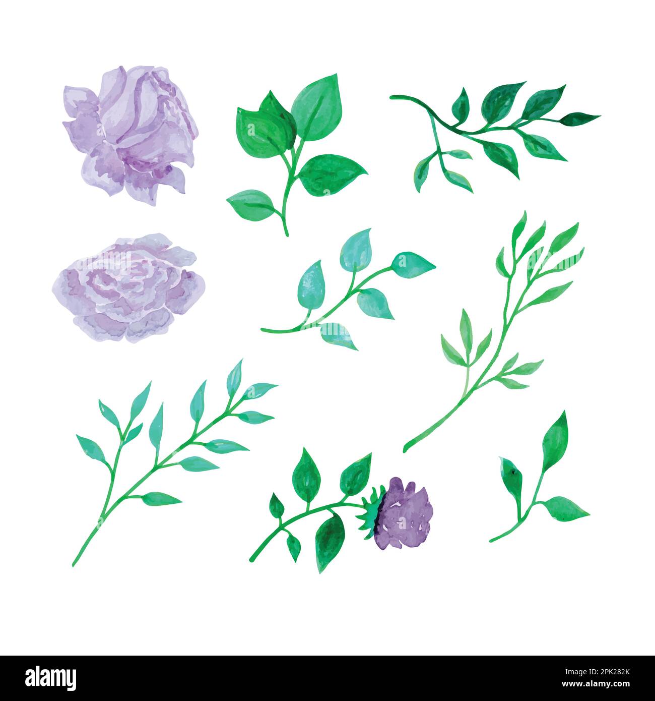 Handgezeichnete botanische Blumen und Blätter, handgezeichnete Aquarellvektorzeichnung für Grußkarten- oder Einladungsdesign Stock Vektor
