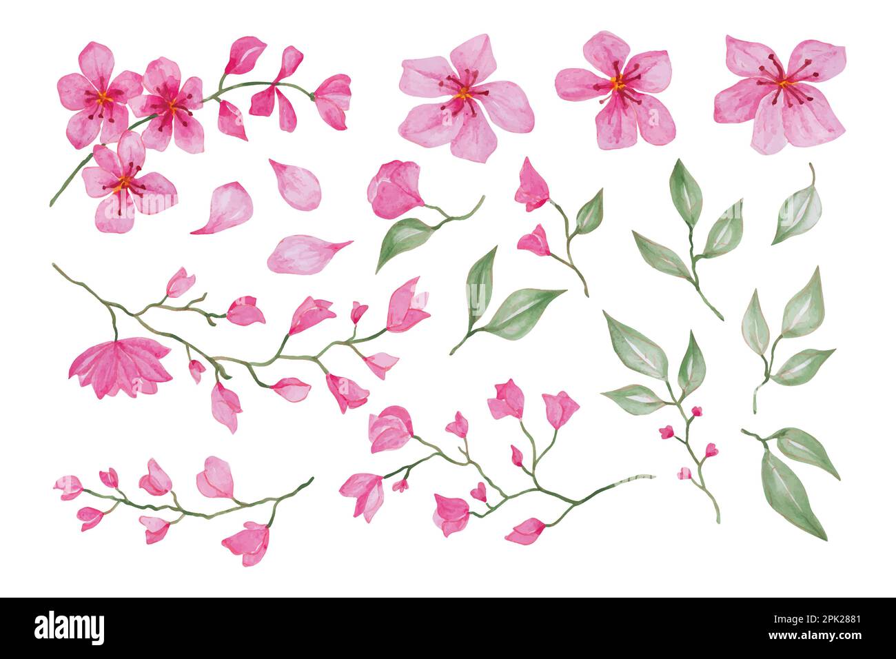 Blühende Sakura-Äste, handgezeichnete Aquarell-Vektorgrafik für Grußkarten oder Einladungen Stock Vektor