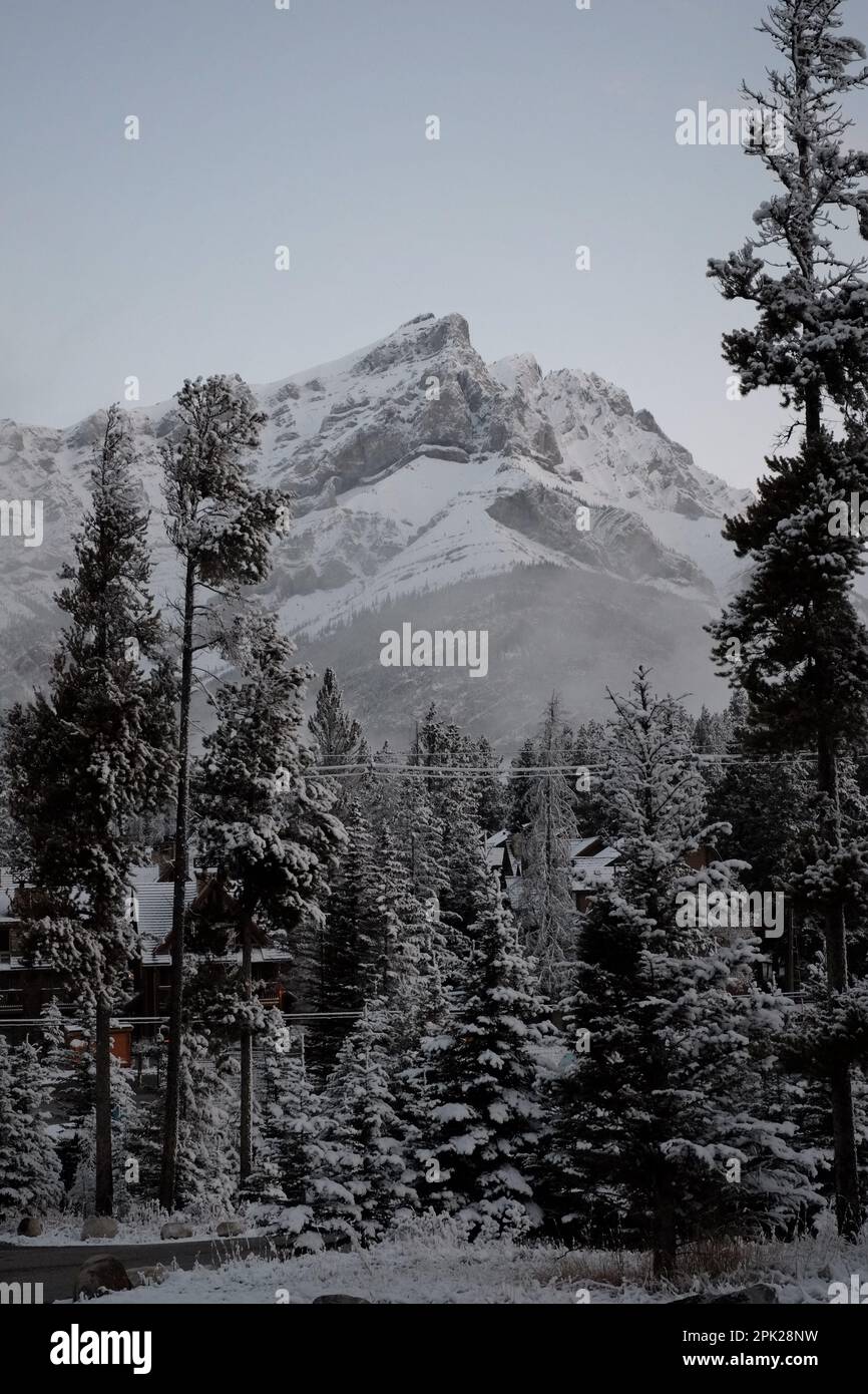 Campingplatz für Wohnmobile, Banff, Alberta, Kanada Stockfoto