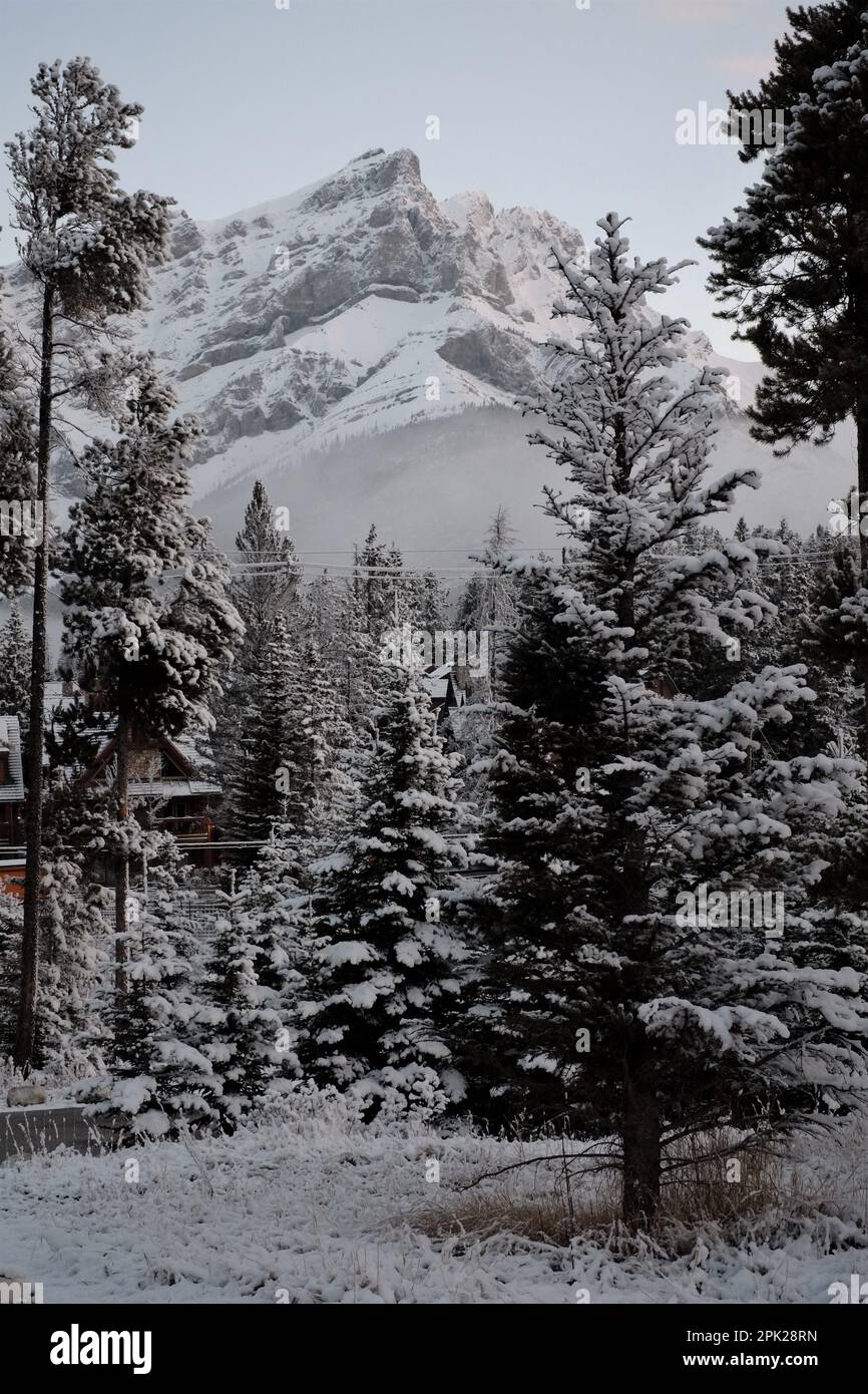 Campingplatz für Wohnmobile, Banff, Alberta, Kanada Stockfoto