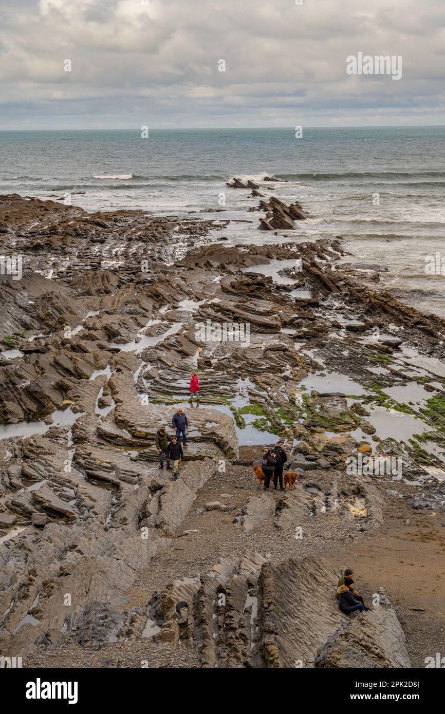 Mit Blick auf den Strand von Crackington Haven Cornwall Stockfoto