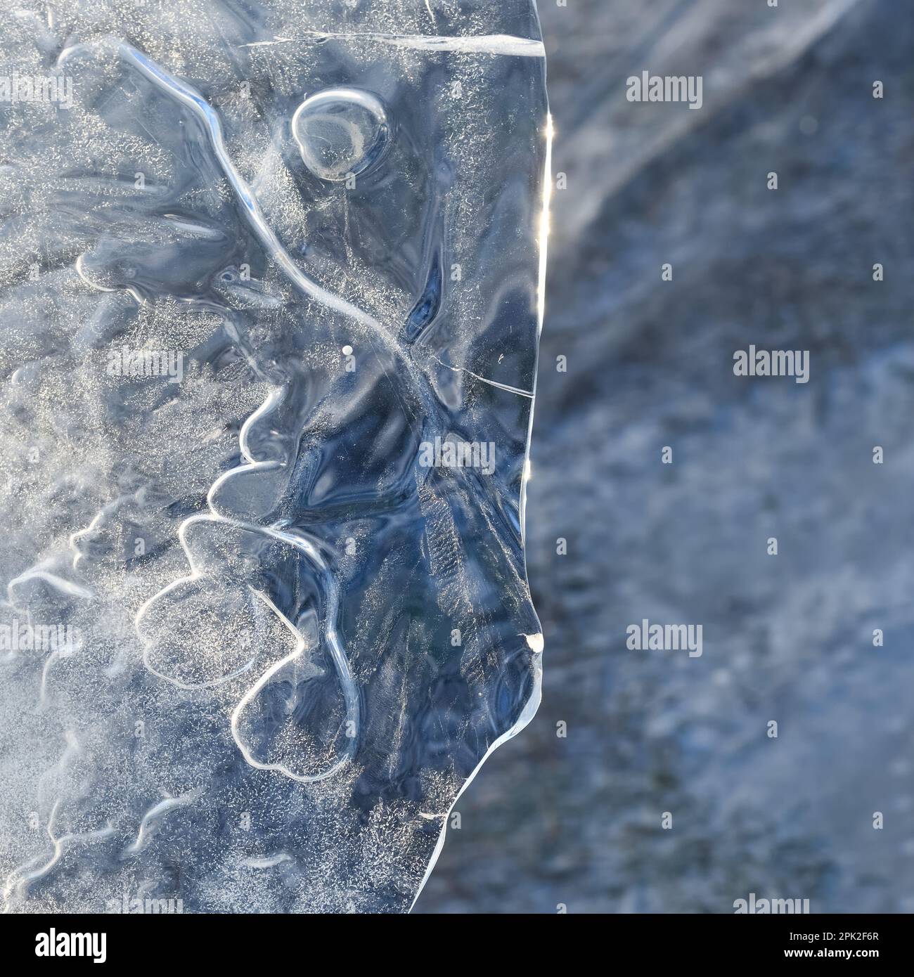 Die Maske... Eisskulpturen ( Winterflut Niederrhein 2020/2021 ), Kunst in der Natur, Eisplatte zufällig durch Wind und Wetter geformt Stockfoto