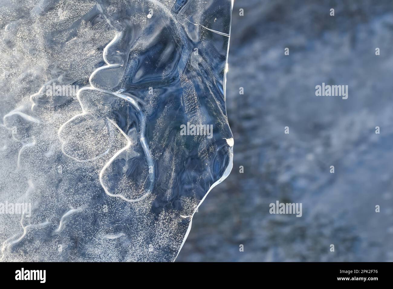Die Maske... Eisskulpturen ( Winterflut Niederrhein 2020/2021 ), Kunst in der Natur, Eisplatte zufällig durch Wind und Wetter geformt Stockfoto