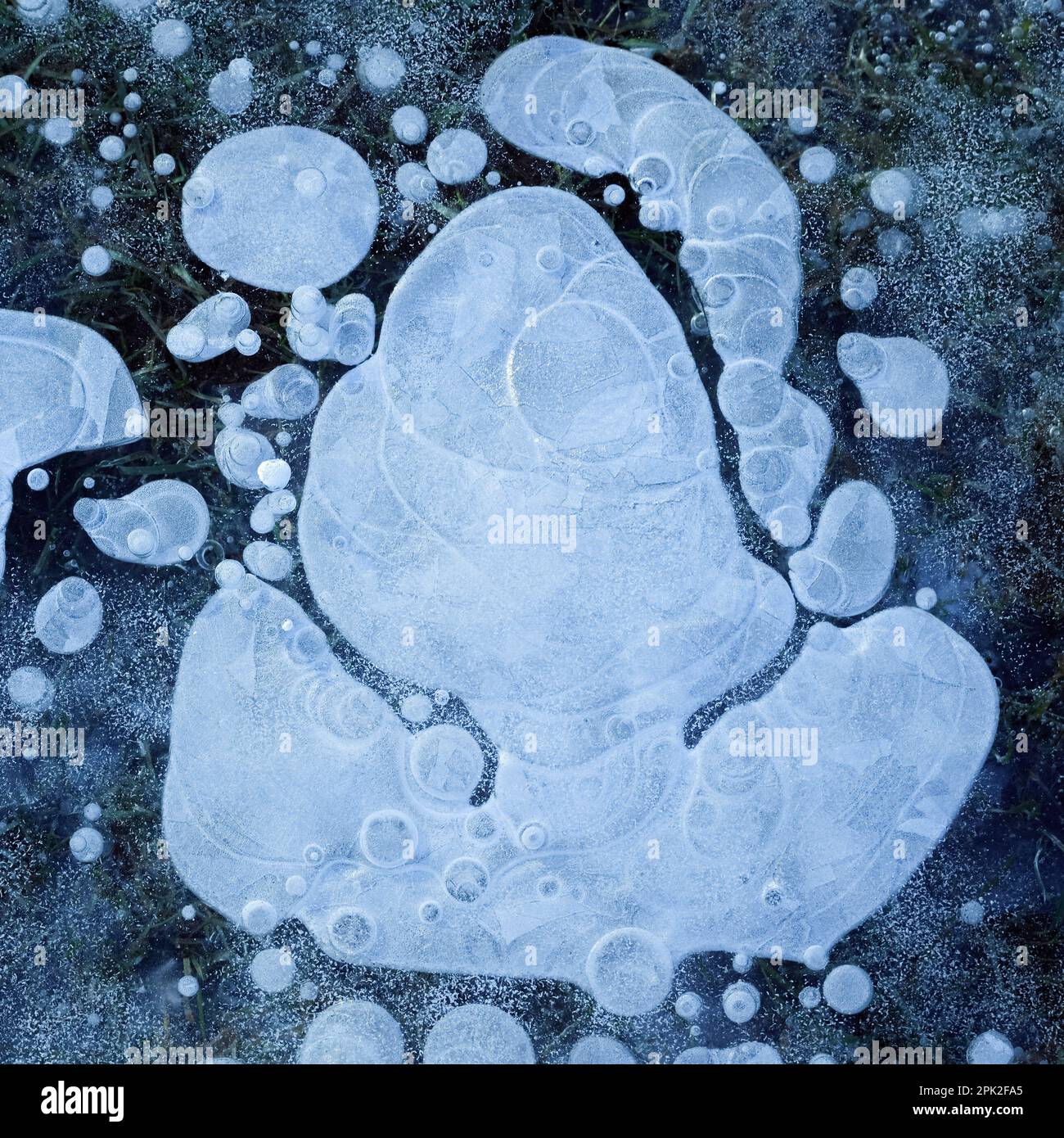 Luftblasen... Eis ( Winterflut 2020/2021 ), Eisschicht mit gefrorenen Luftblasen auf einer Wiese überflutet und gefroren bei starkem Frost im Rheinland Stockfoto