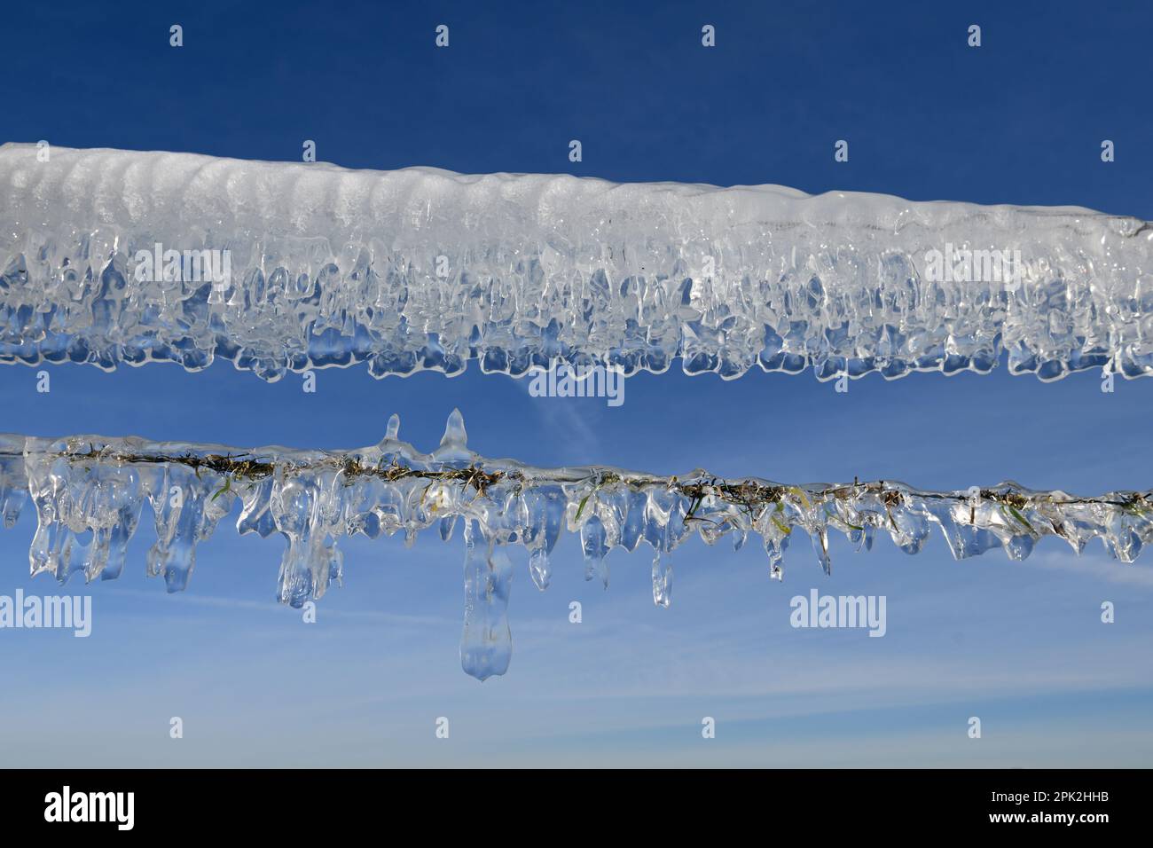 Eiszeit... Eiszapfen ( Rheinflucht ) auf einem Weidezaun auf der Insel Bislicher im Winter 2020/2021 Stockfoto