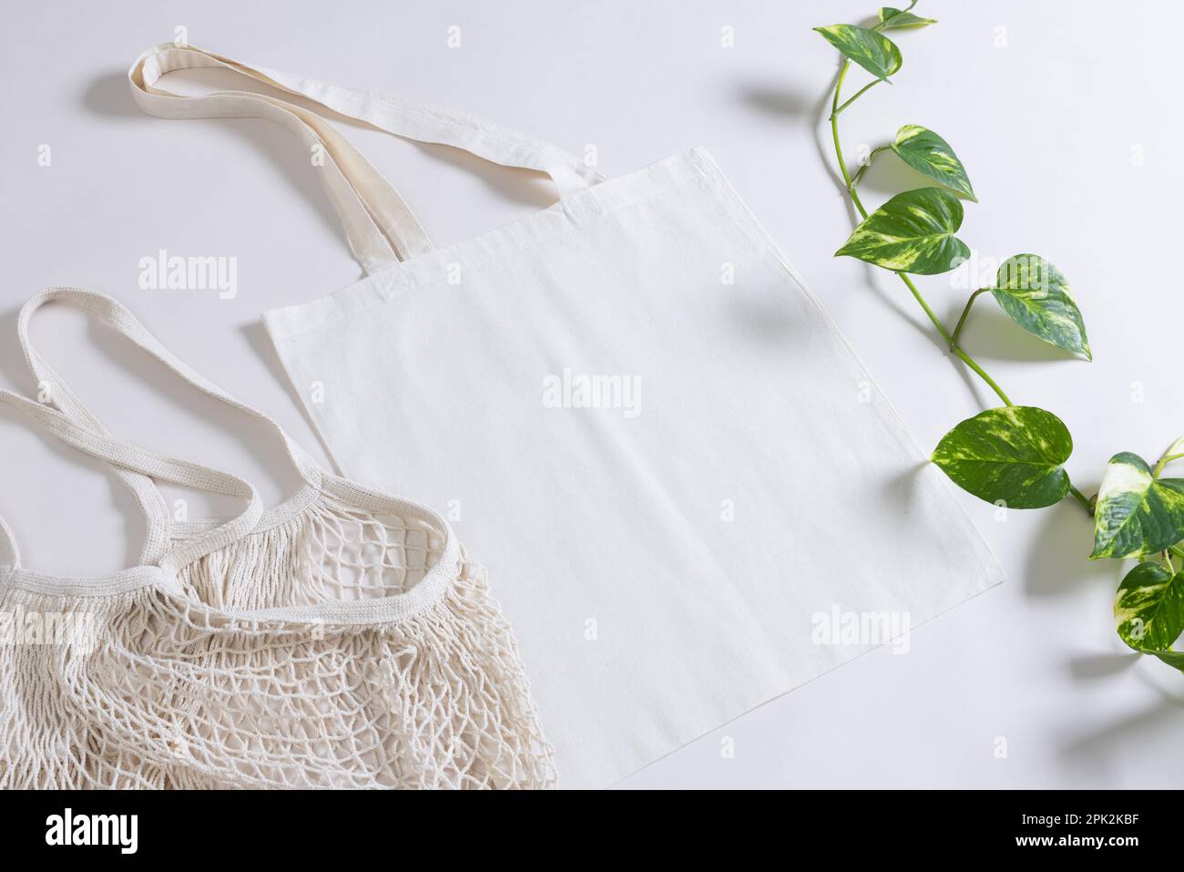 Großer Winkel von weißem Netz und Segeltasche mit Kopierbereich und Pflanze auf weißem Hintergrund Stockfoto