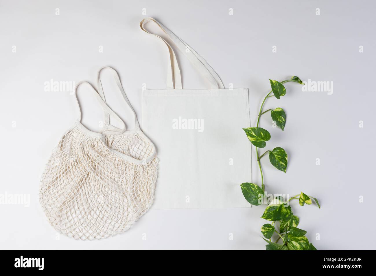 Großer Winkel von weißem Netz und Segeltasche mit Kopierbereich und Pflanze auf weißem Hintergrund Stockfoto