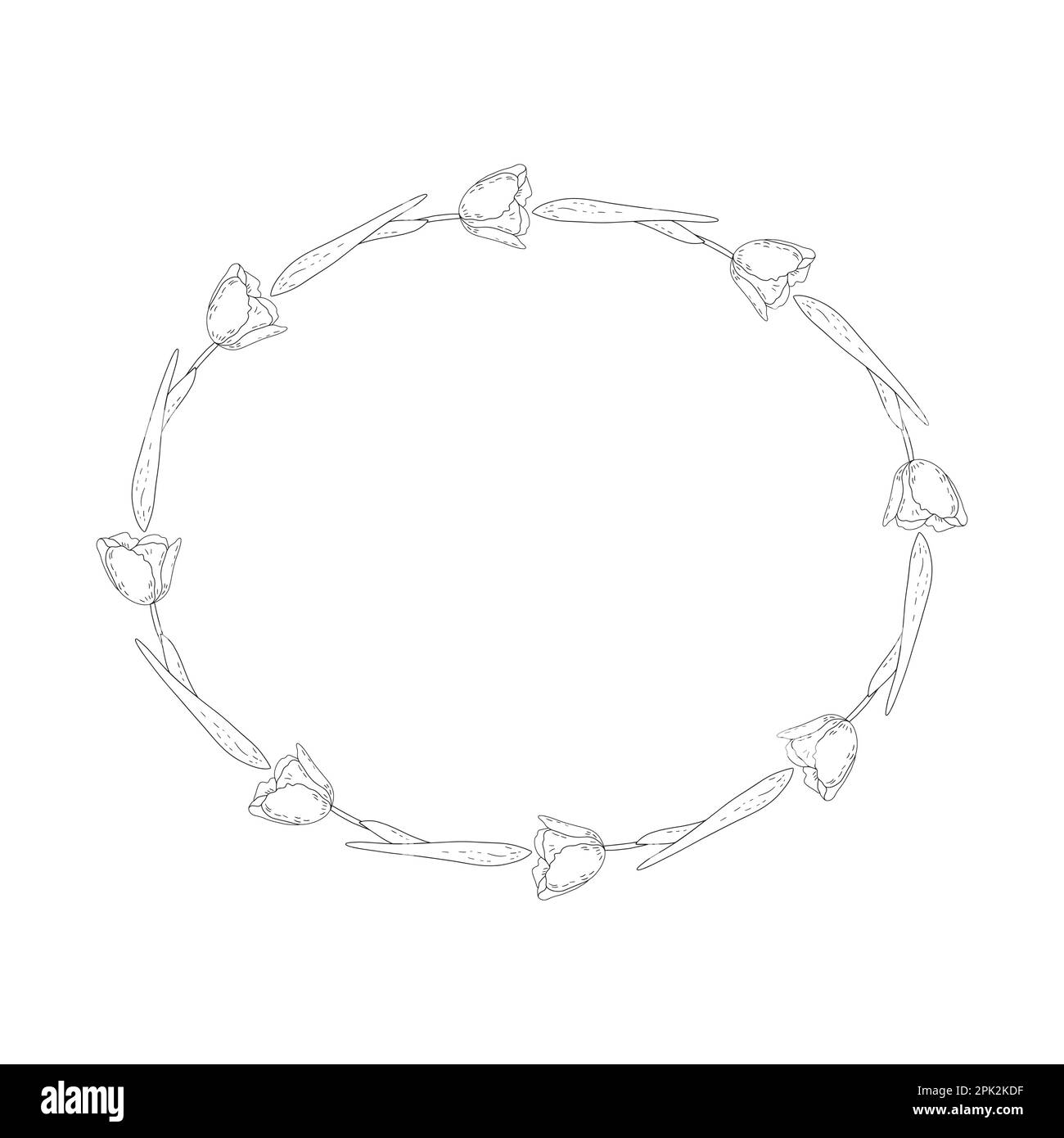 Handgezeichneter Vektorrahmen von Federtulpen Stock Vektor