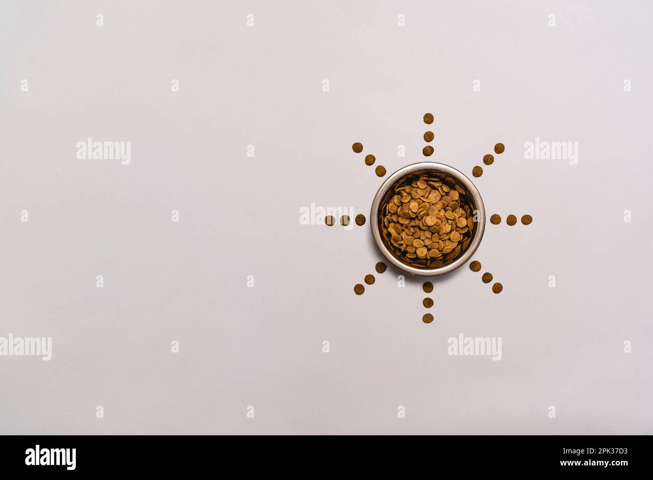 Hundefutter mit sternförmigem Muster und Kopierbereich. Isoliert auf grauem Hintergrund. Stockfoto