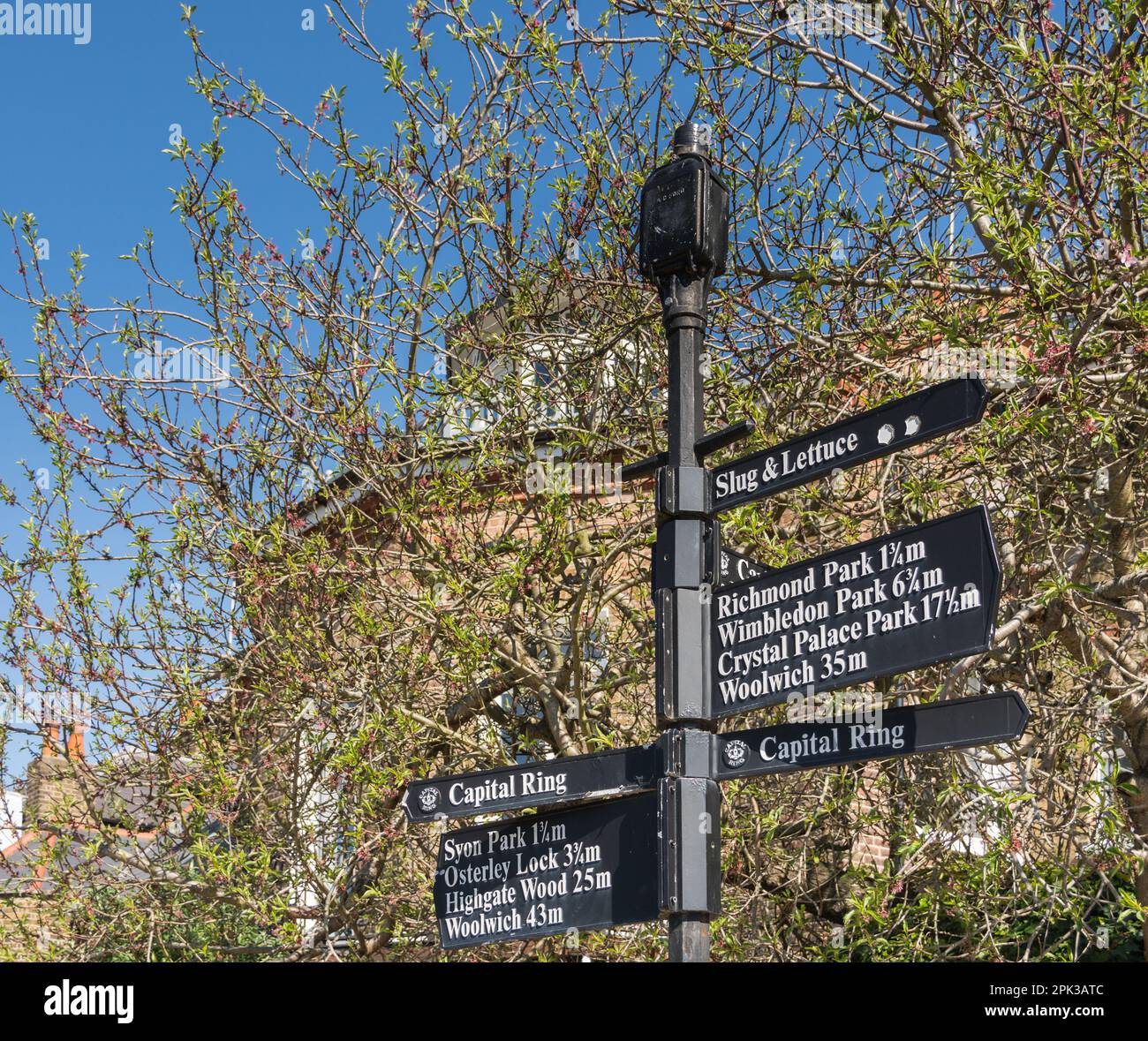 Capital Ring und Wegweiser auf dem Thames Path in Richmond, Surrey, London, England, Großbritannien Stockfoto