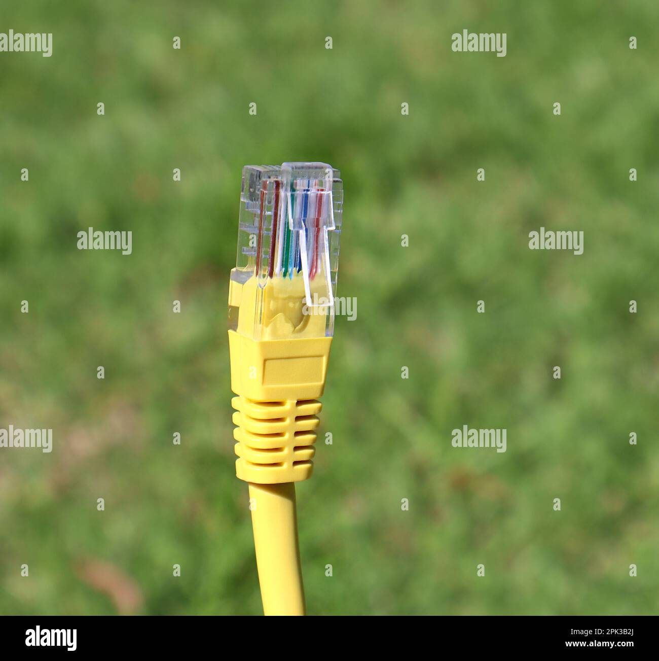 Nahaufnahme des RJ45-netzwerkkabels Stockfoto