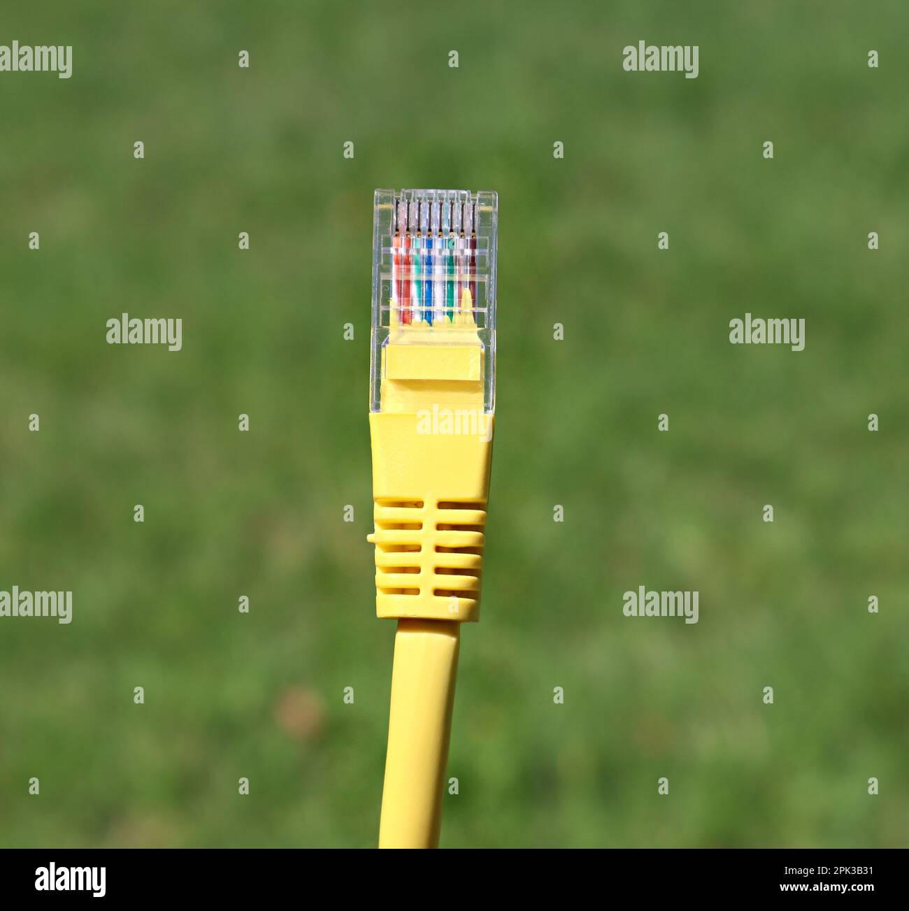 Nahaufnahme des RJ45-netzwerkkabels Stockfoto