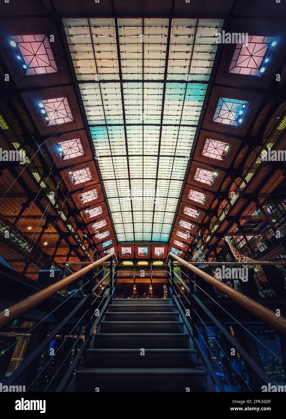 Treppe im Naturkundemuseum, Paris, Frankreich. Architektonische Details und glühende Glasdecke Stockfoto