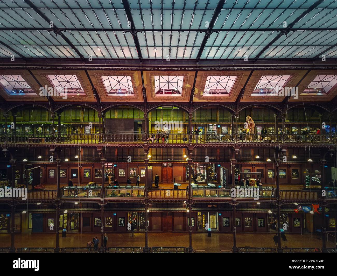Blick in das Museum für Naturgeschichte, Paris, Frankreich Stockfoto