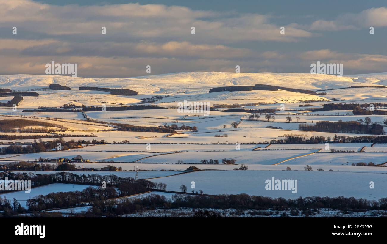 Schneebedeckte Lammermuir Hills Stockfoto