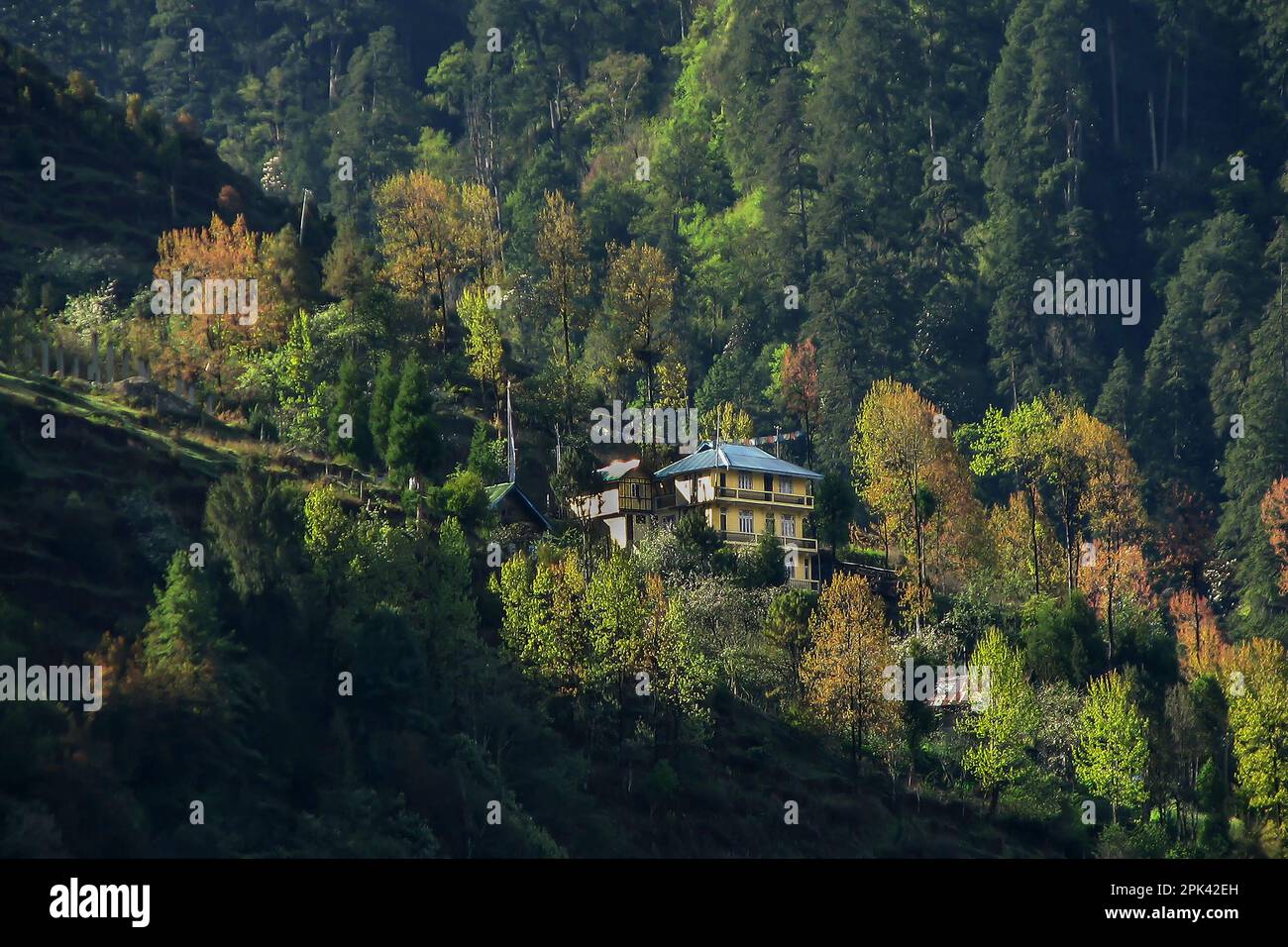 Häuser in Lachung, Lachung Valley, Stadt und eine wunderschöne Bergstation im Nordosten von Sikkim, Indien. Der Zusammenfluss der Flüsse Lachung und Lachung, Autum Stockfoto