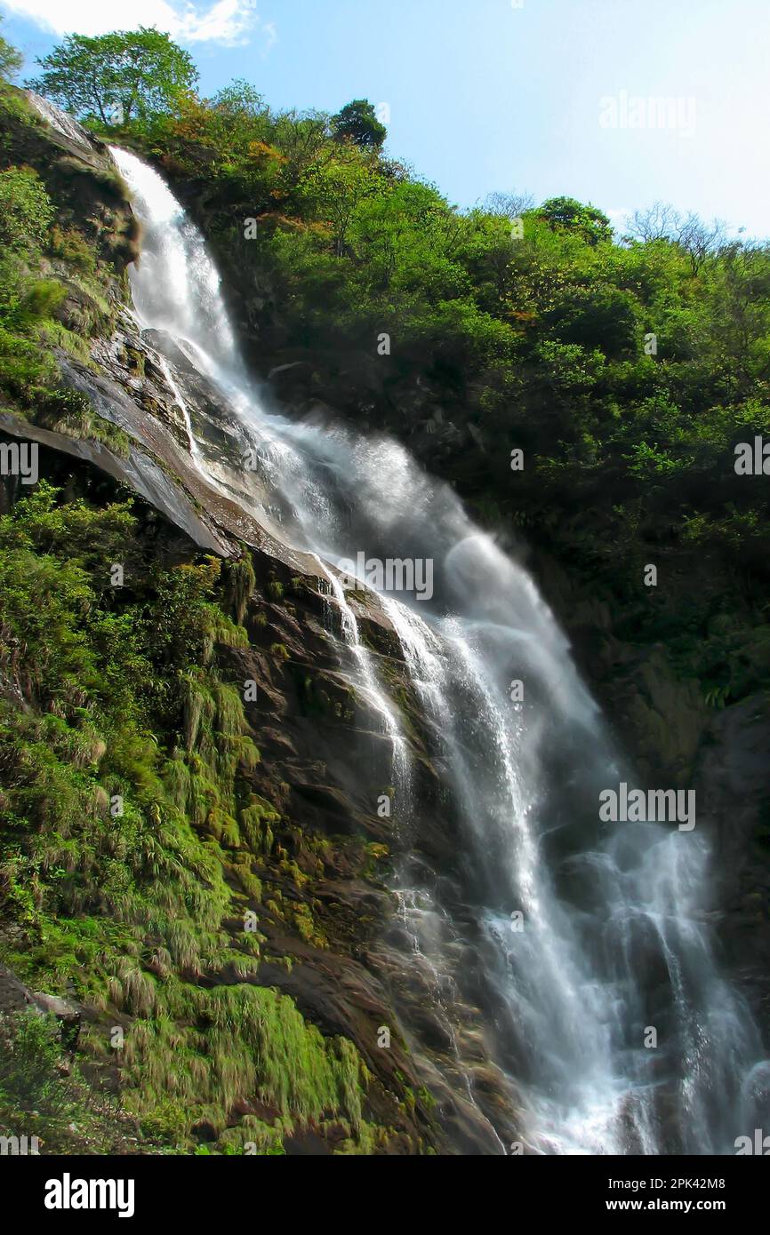 Bhim Nala Falls, im Dorf Khedum, Chungthang - Lachung Road, North Sikkim, Indien. Aufgrund seiner Höhe wird es auch Amitabh Bachchan Falls genannt. Stockfoto