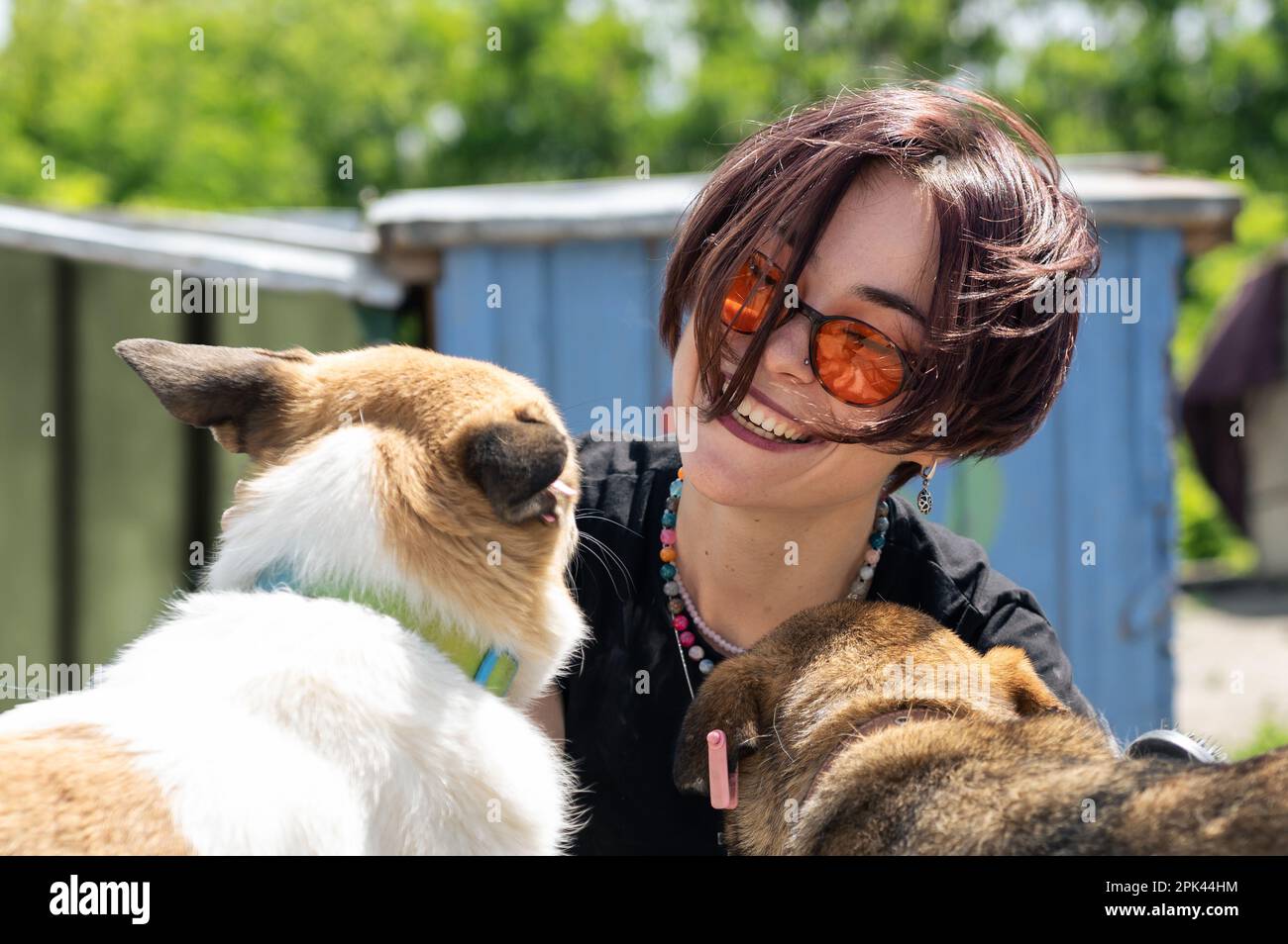 Hund im Tierheim. Tierheim Freiwilliger kümmert sich um Hunde. Einsame ...
