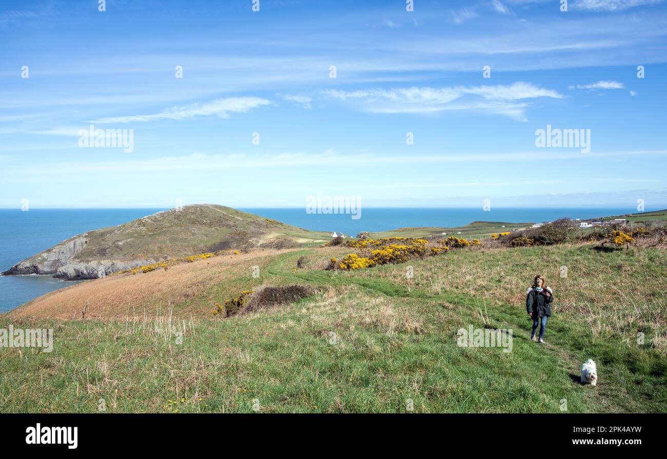 Mwnt Bay Pembrokeshire West Wales Stockfoto