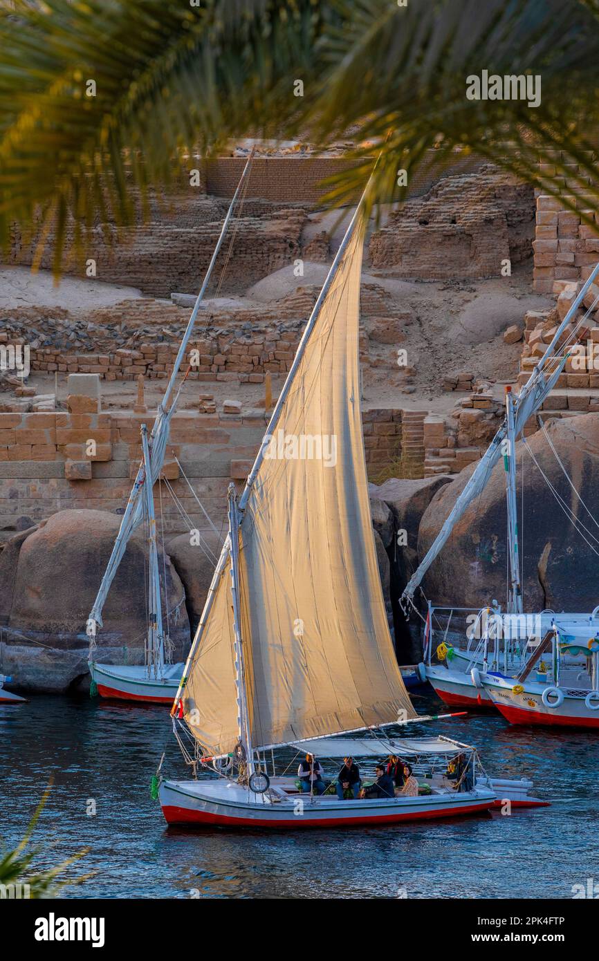 Felukken Auf Dem Nil, Assuan, Ägypten, Nordostafrika Stockfoto