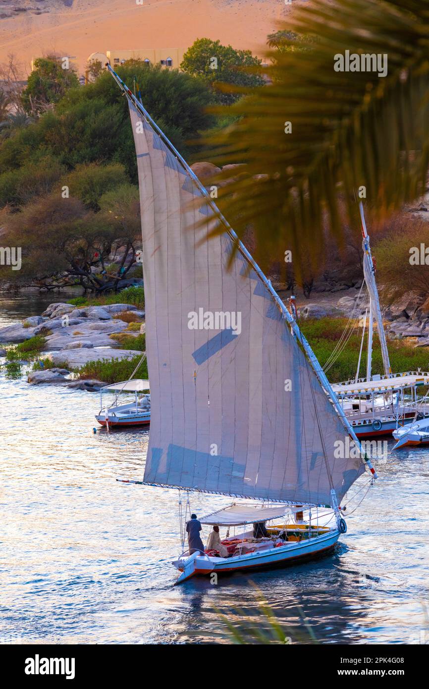 Felukken Auf Dem Nil, Assuan, Ägypten, Nordostafrika Stockfoto