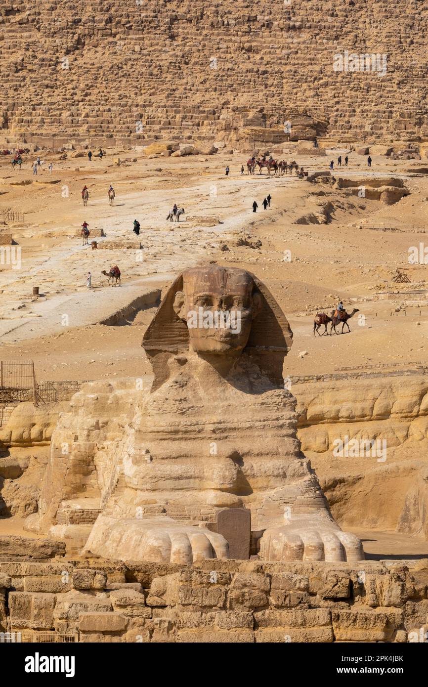 Die große Sphinx von Gizeh, Gizeh, Ägypten, Nordostafrika Stockfoto