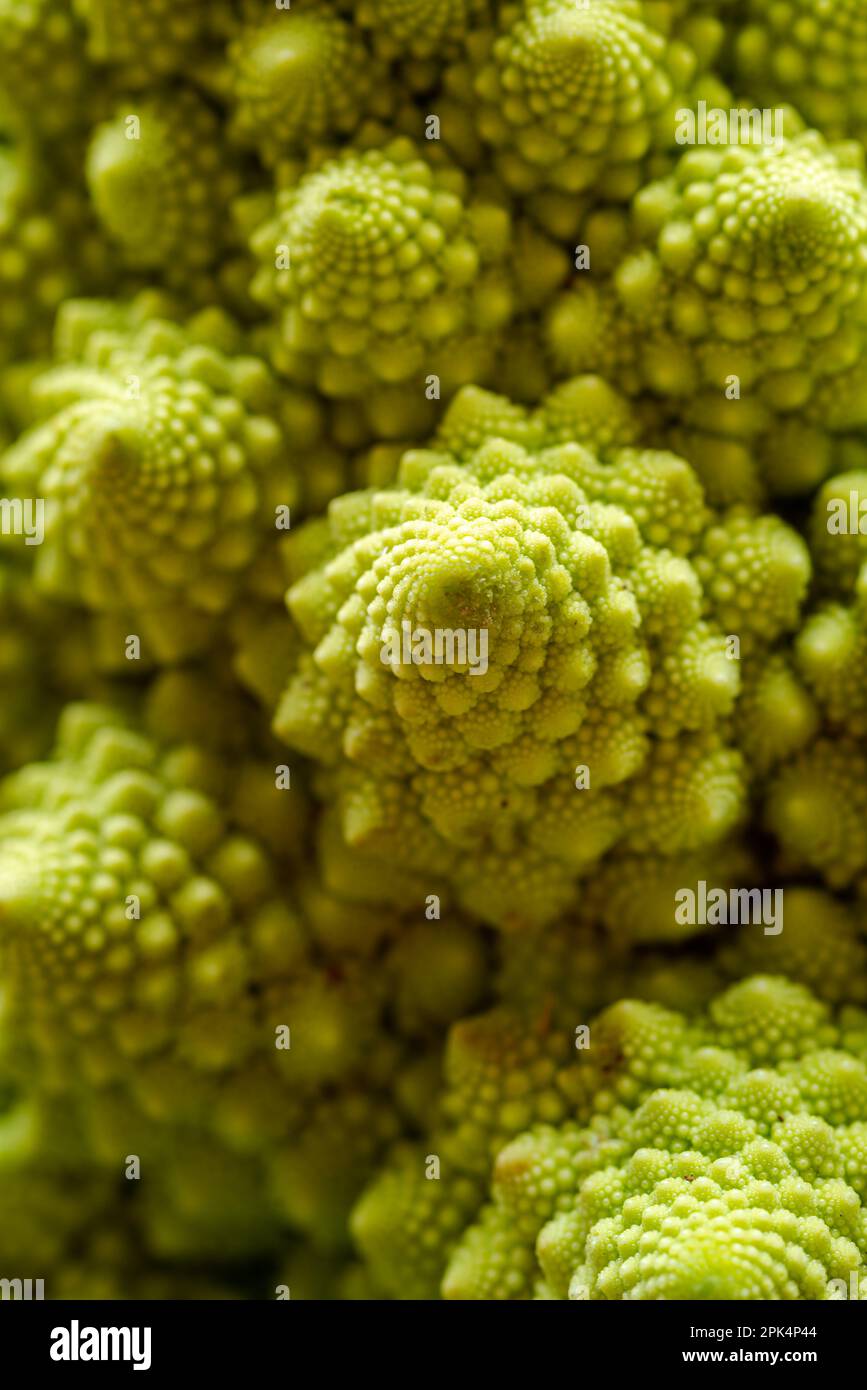 Makroaufnahme eines Blumenkohls aus Romanesco Brassica oleracea. Stockfoto