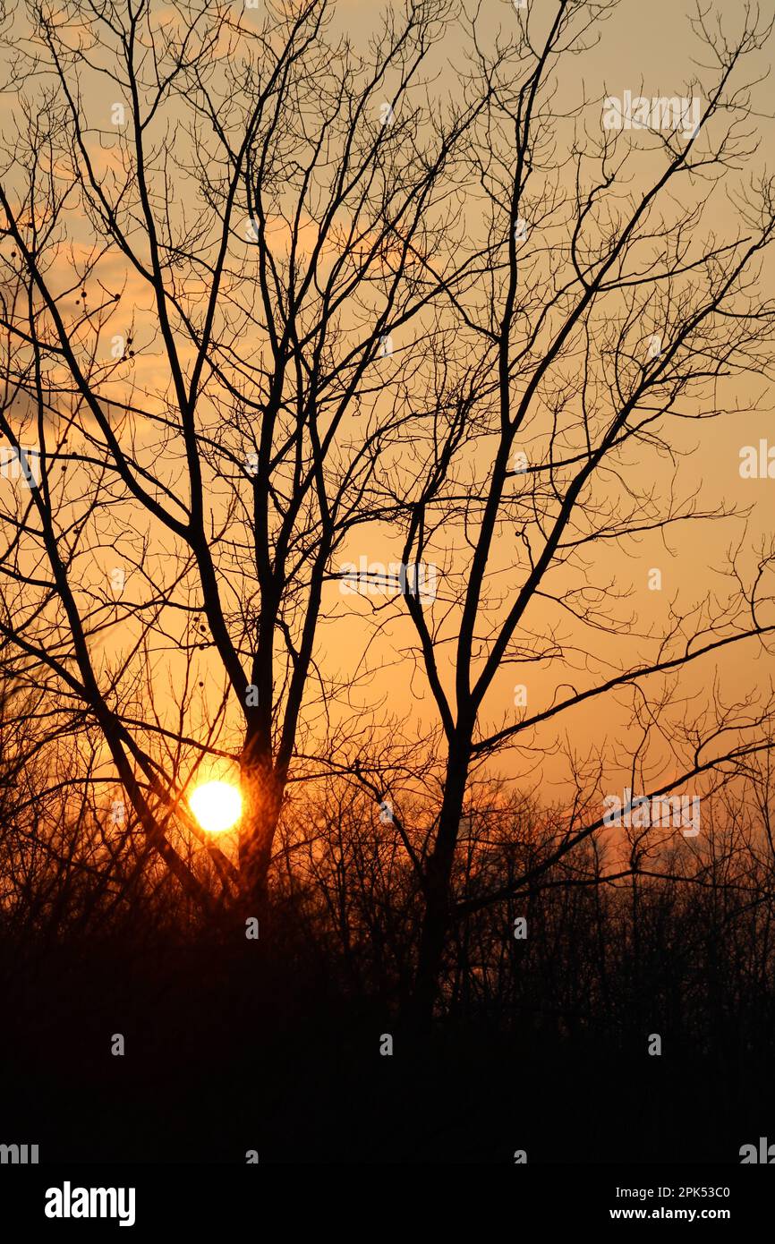 Sonnenuntergang im Oakes Quarry Park in Fairborn, Ohio, USA Stockfoto