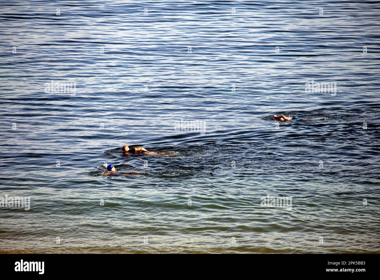 Menschen schwimmen am Shoal Bay Beach, Port Stephens, Mid North Coast, New South Wales, Australien. Shoal Bay ist der östlichste Vorort von Port Steph Stockfoto