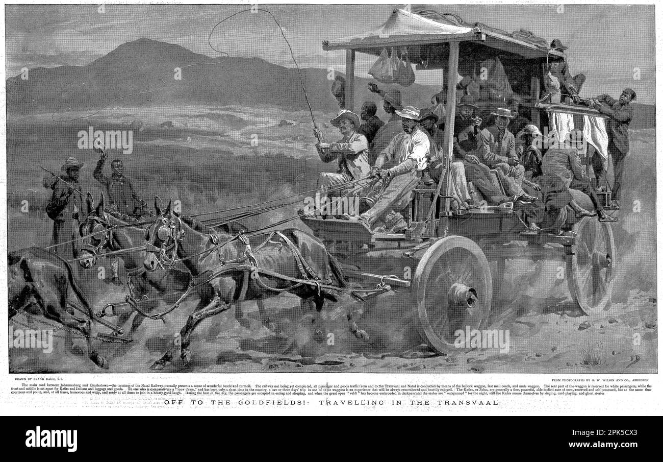Ein Team von Goldminern auf dem Weg zu den Goldfeldern der Transvaal in Südafrika, um 1896 Stockfoto
