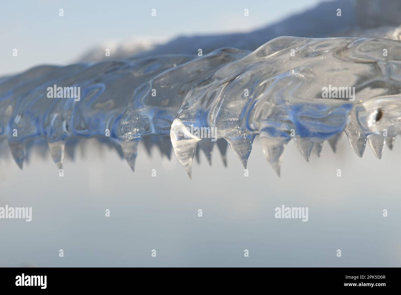 Eisformationen auf Stacheldraht... Eiszapfen ( Winterflut 2020/2021 ), Winterzeit am Niederrhein Stockfoto