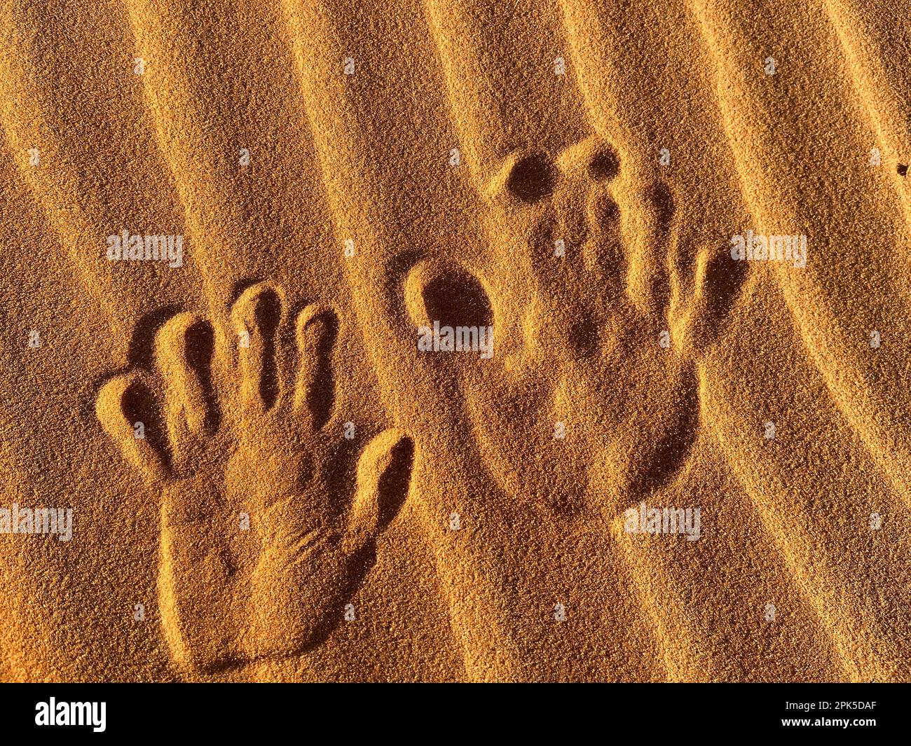 Merzouga, Marokko, Afrika: Handabdrücke auf den Dünen in der Sahara, Sandkörner, die kleine Wellen auf den wunderschönen Dünen bilden Stockfoto