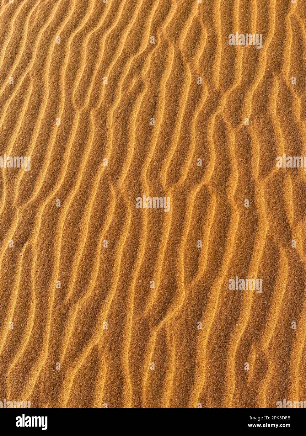 Merzouga, Marokko, Afrika: Details einer Sanddüne in der Sahara, Sandkörner, die geometrische Muster bilden, und kleine Wellen aufgrund des Windes Stockfoto