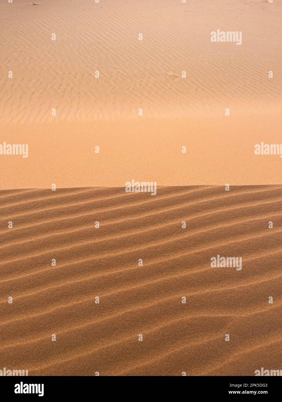 Merzouga, Marokko, Afrika: Details einer Sanddüne in der Sahara, Sandkörner, die geometrische Muster bilden, und kleine Wellen aufgrund des Windes Stockfoto