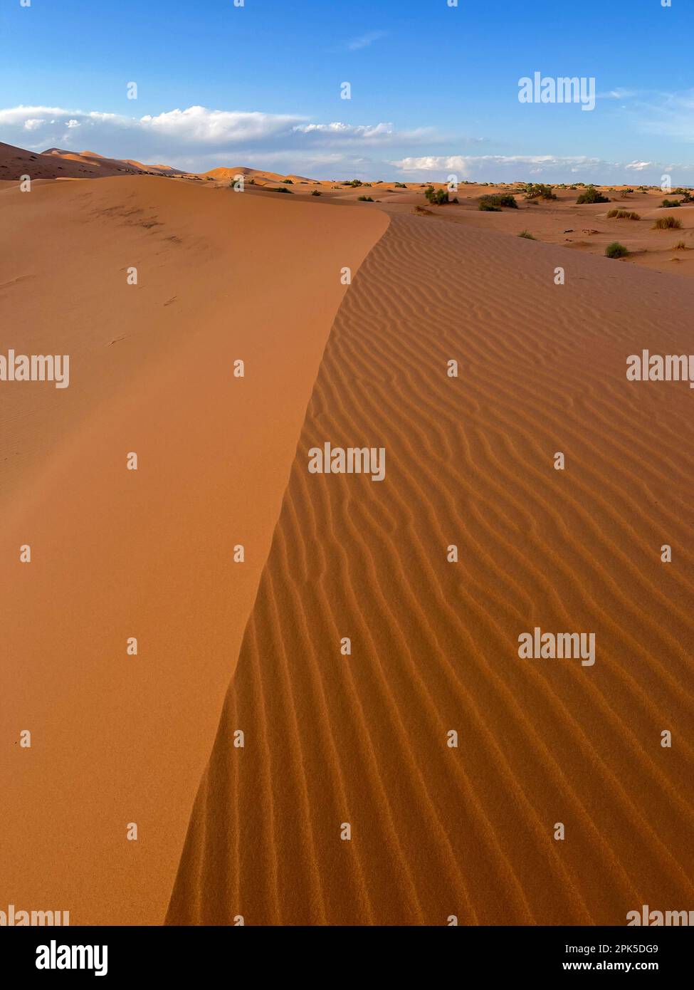 Merzouga, Marokko, Afrika: Details einer Sanddüne in der Sahara, Sandkörner, die geometrische Muster bilden, und kleine Wellen aufgrund des Windes Stockfoto