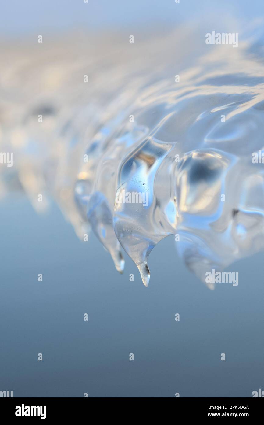 Eis... Eisbildung ( Winterflut 2020/2021 ), auftauende Eisplatte durch Wind und Wetter, Eisskulptur auf einem Stacheldrahtzaun Stockfoto