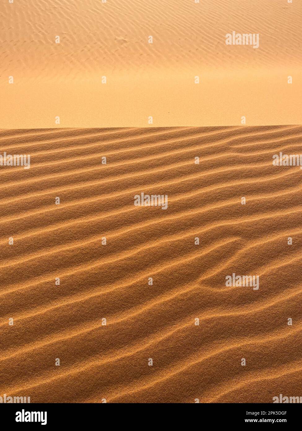 Merzouga, Marokko, Afrika: Details einer Sanddüne in der Sahara, Sandkörner, die geometrische Muster bilden, und kleine Wellen aufgrund des Windes Stockfoto
