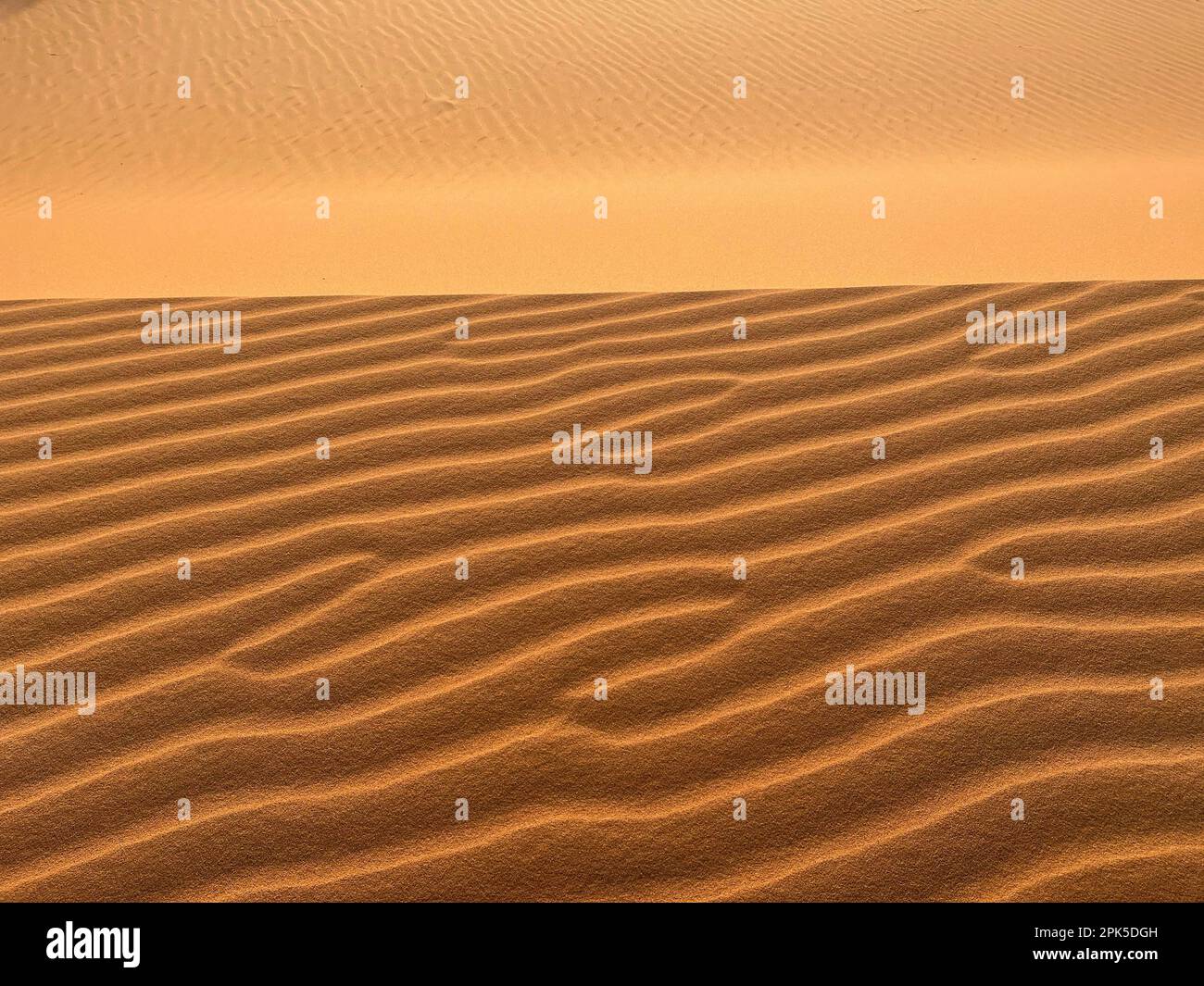 Merzouga, Marokko, Afrika: Details einer Sanddüne in der Sahara, Sandkörner, die geometrische Muster bilden, und kleine Wellen aufgrund des Windes Stockfoto