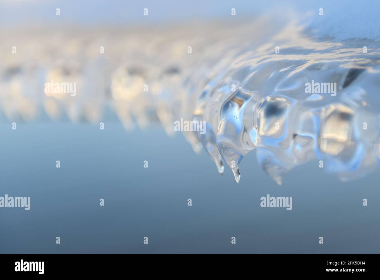 Eis... Eisbildung ( Winterflut 2020/2021 ), auftauende Eisplatte durch Wind und Wetter, Eisskulptur auf einem Stacheldrahtzaun Stockfoto