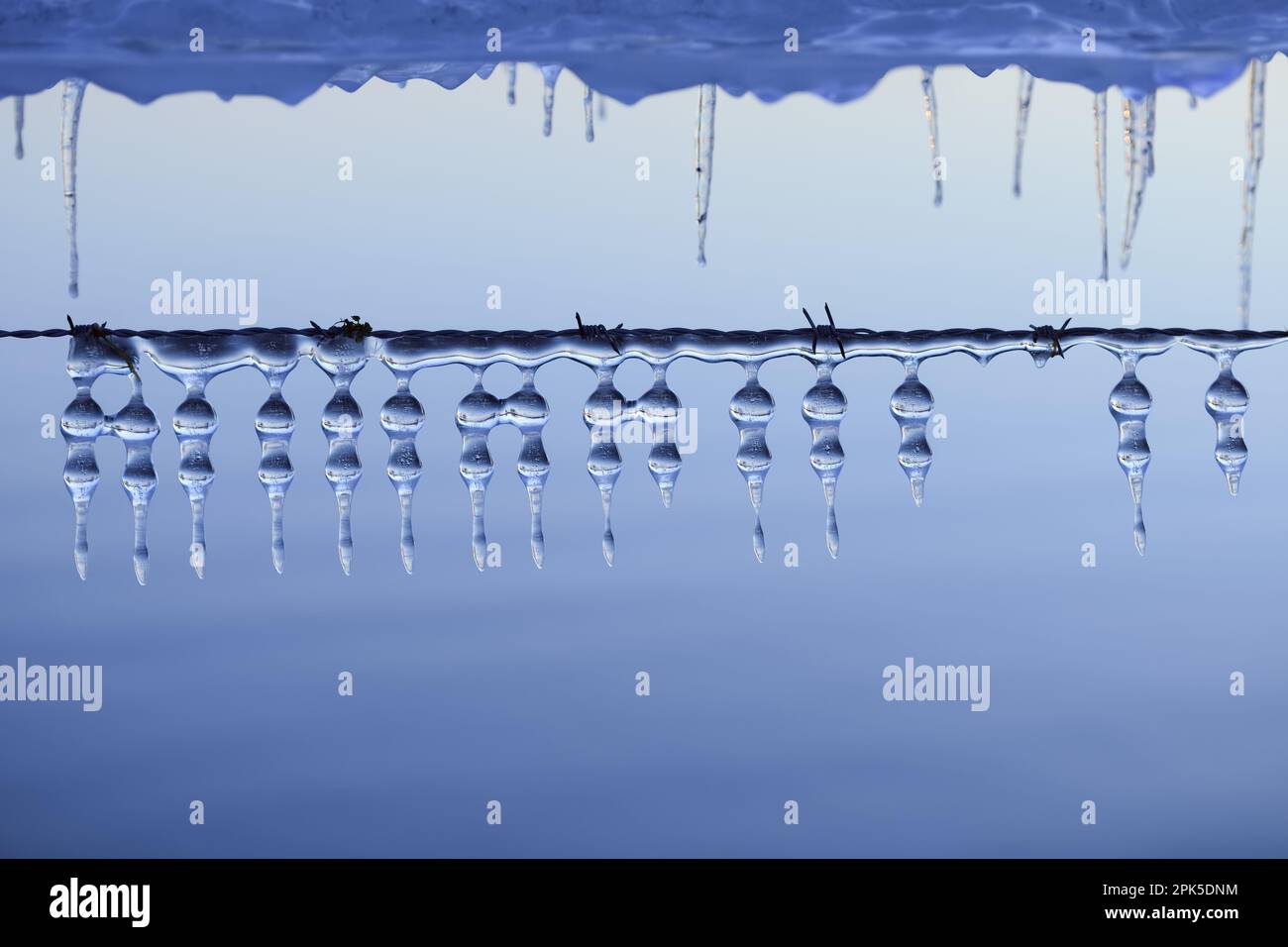 Eisdekoration... Eiszapfen ( Winterflut 2020/2021 ) auf einem Weidezaun, geformt durch Wind und Wetter, ein Freak der Natur Stockfoto