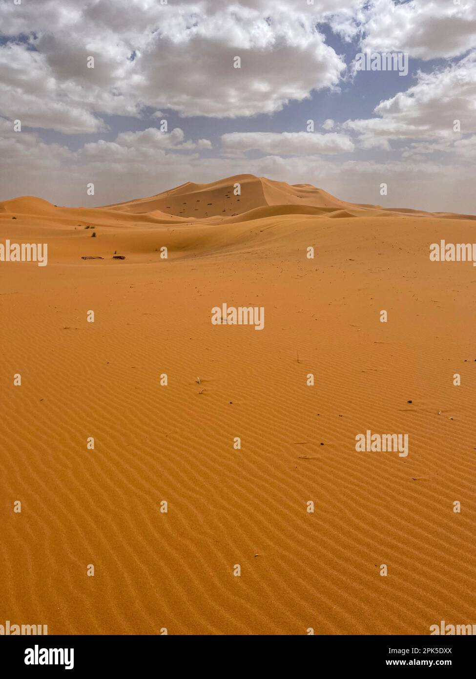 Merzouga, Erg Chebbi Dünen, Marokko, Afrika: Panoramastraße in der Sahara mit Blick auf wunderschöne Sanddünen, Geländewagen-Fahrt, blauer Himmel, weiße Wolken Stockfoto