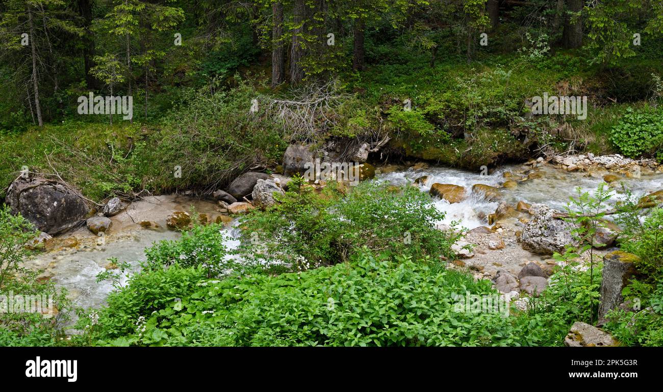 Bach in den Bergen, Santa Maddalena in den Dolomiten, Italien Stockfoto
