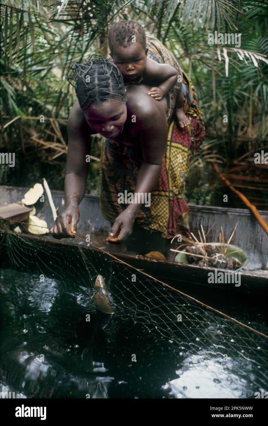 Afrika, Demokratische Republik Kongo, Provinz Equateur, Region Ngiri. Frau oder ethnische Gruppe der Libinza, die ihr Baby im Kanu trägt, während sie Fische aus dem Netz im Sumpfwald entfernt. Stockfoto
