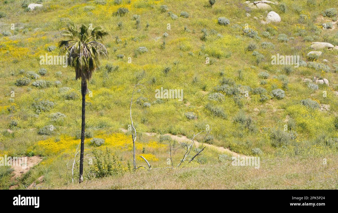 Nicht alle, die umherwandern Stockfoto