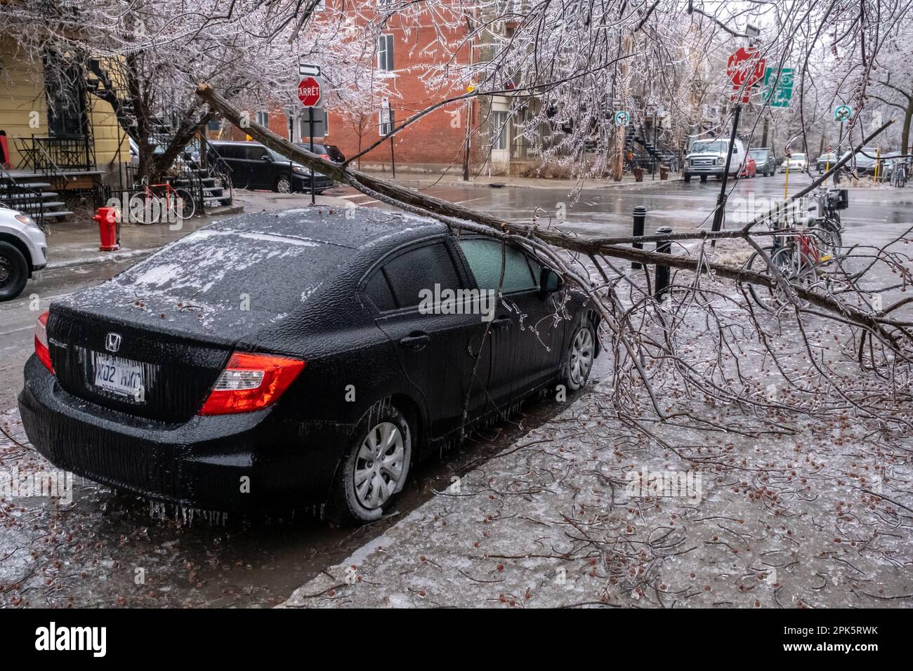 Montreal, KANADA - 5. April 2023: Auto unter zerbrochenem eiskalten Baum nach eiskaltem Regen Stockfoto