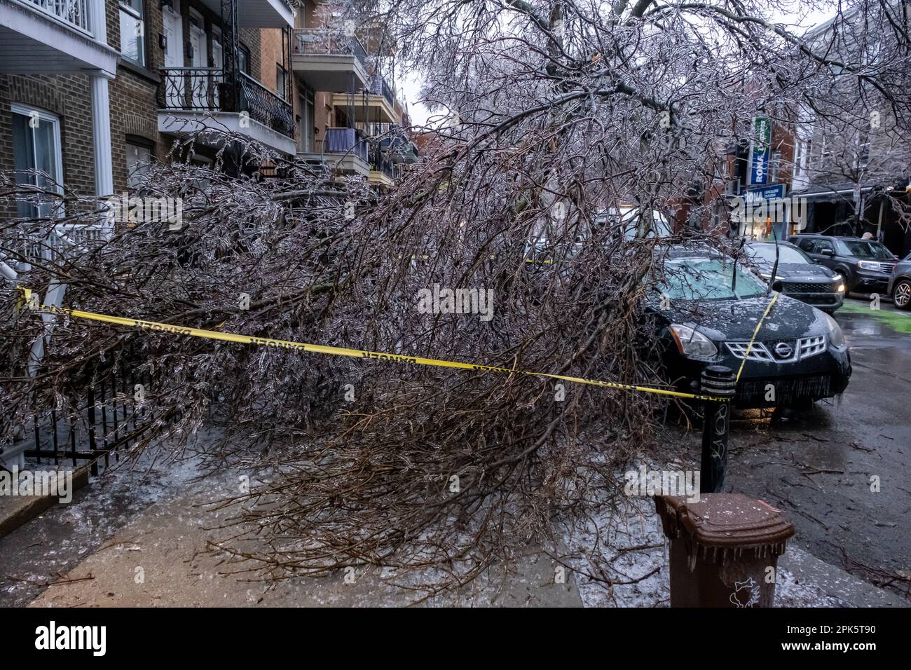 Montreal, KANADA - 5. April 2023: Auto unter zerbrochenem eiskalten Baum nach eiskaltem Regen Stockfoto