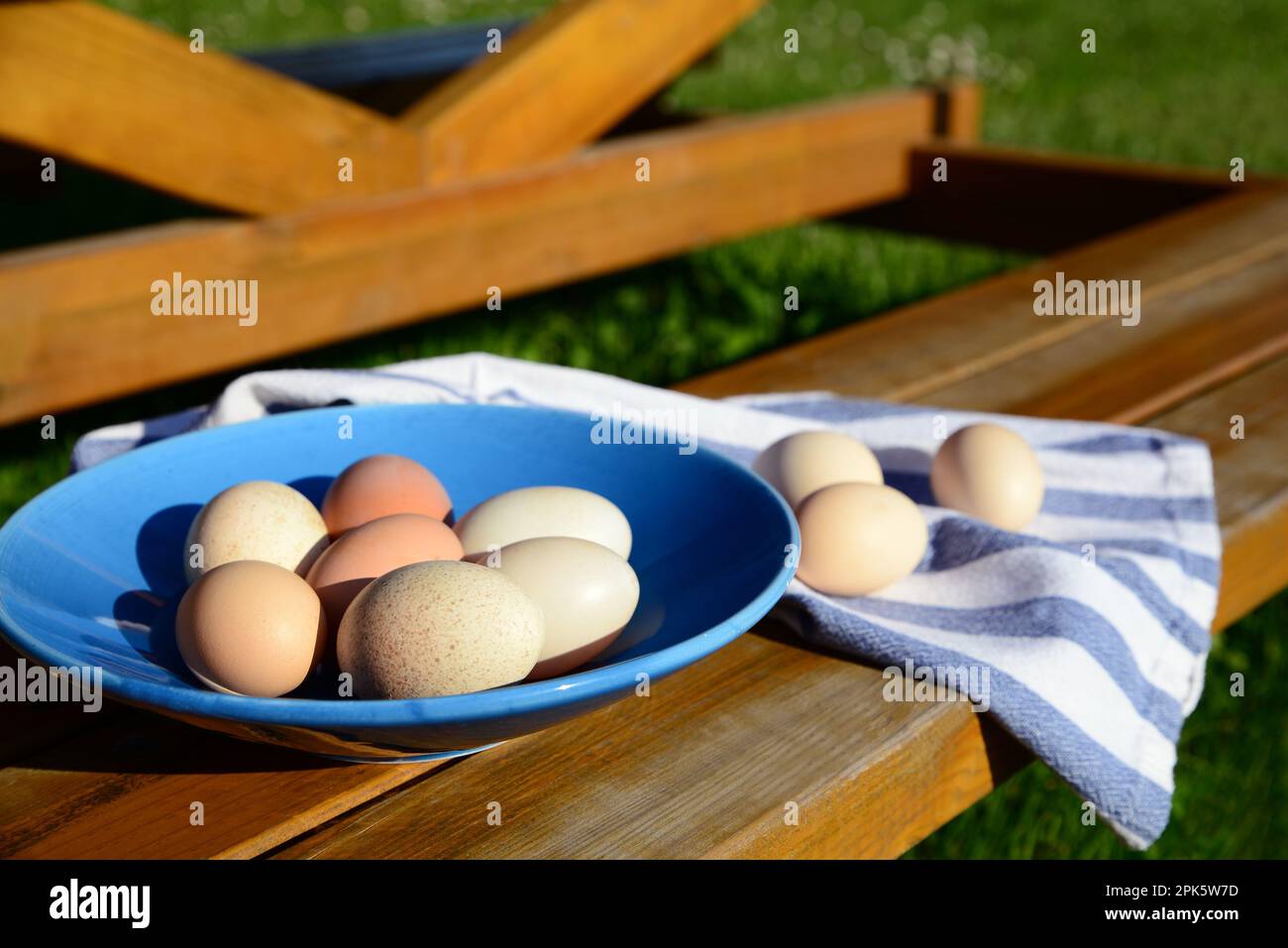 Teller und Serviette mit verschiedenen Eiern auf einer Holzbank im Freien Stockfoto