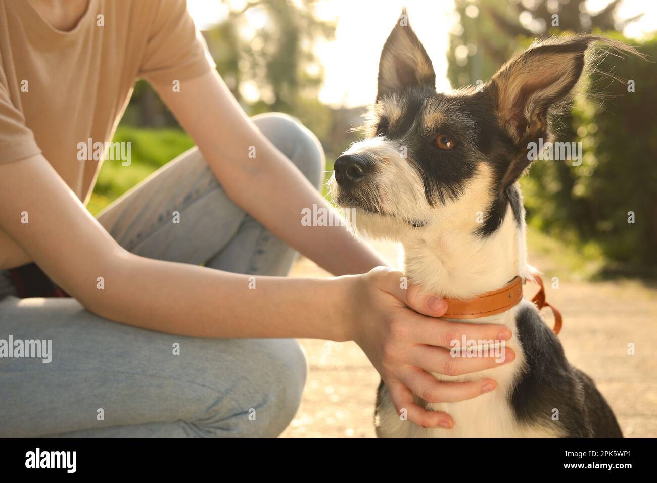 Teenager-Mädchen mit ihrem süßen Hund im Park, Nahaufnahme Stockfoto